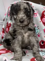 processed/fb870d14-8f49-49d4-85db-8ddab3ef746d/listing/6142207e-3c2d-4e57-8c10-ab5b21a4f366/8bd37077-3b26-467d-bd9d-c225176ed4fd