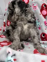 processed/fb870d14-8f49-49d4-85db-8ddab3ef746d/listing/6142207e-3c2d-4e57-8c10-ab5b21a4f366/de94d390-33a8-4380-9b2c-86ff6011ed61