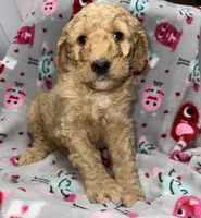 processed/fb870d14-8f49-49d4-85db-8ddab3ef746d/listing/73954d54-1652-40d4-94df-76c8cb6775eb/27201178-0543-4ccf-bf29-07add82c93c5