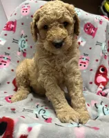 processed/fb870d14-8f49-49d4-85db-8ddab3ef746d/listing/73954d54-1652-40d4-94df-76c8cb6775eb/6a9902d9-d184-48f2-993e-d3273d730000