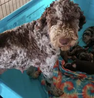 processed/fb870d14-8f49-49d4-85db-8ddab3ef746d/listing/73954d54-1652-40d4-94df-76c8cb6775eb/6ae42e35-19e8-4e7f-877a-ecab0033e6eb