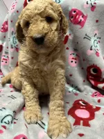 processed/fb870d14-8f49-49d4-85db-8ddab3ef746d/listing/73954d54-1652-40d4-94df-76c8cb6775eb/9425c9c7-62b6-4336-bede-b3d70d6ce11e