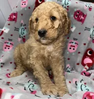 processed/fb870d14-8f49-49d4-85db-8ddab3ef746d/listing/73954d54-1652-40d4-94df-76c8cb6775eb/94d25202-94d5-4f3a-8adc-6d493217b57e