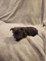 processed/fb88bc1d-fb1f-405b-9a42-0b12febe0257/listing/0cf27d58-4ace-4c3e-9435-4739c2842122/ee1c9dae-86f7-484b-a8dc-13b7fa7d31ea