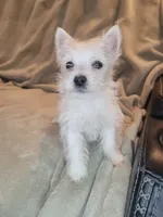 processed/fb88bc1d-fb1f-405b-9a42-0b12febe0257/listing/34b1fef0-4123-4f02-9860-1d60fe6c3c37/3ac4b82f-b255-4810-ac1a-a37f3346583e