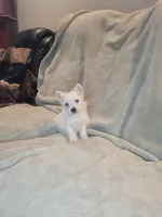 processed/fb88bc1d-fb1f-405b-9a42-0b12febe0257/listing/34b1fef0-4123-4f02-9860-1d60fe6c3c37/4799c21c-8c80-47da-81c0-65b149add867