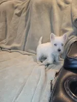 processed/fb88bc1d-fb1f-405b-9a42-0b12febe0257/listing/34b1fef0-4123-4f02-9860-1d60fe6c3c37/5ea946fb-8603-440d-86d7-ae81cd3faf9e