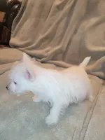 processed/fb88bc1d-fb1f-405b-9a42-0b12febe0257/listing/34b1fef0-4123-4f02-9860-1d60fe6c3c37/79bdc4ac-4cb2-494f-a6bc-d5efe40dac85