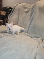 processed/fb88bc1d-fb1f-405b-9a42-0b12febe0257/listing/34b1fef0-4123-4f02-9860-1d60fe6c3c37/a246e26f-5a13-4250-b868-6421d582c563