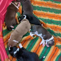 processed/fb8cb5a1-2f20-462b-95f3-114fcee6b093/facility/10261014-500b-4e4a-a85e-311ee92f11e1