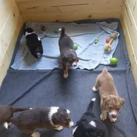 processed/fb8cb5a1-2f20-462b-95f3-114fcee6b093/facility/71fffed5-ada1-4773-838d-32888f879864