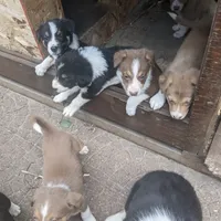 processed/fb8cb5a1-2f20-462b-95f3-114fcee6b093/facility/79517de4-ea69-4296-81fe-0263bbd26818