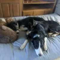 processed/fb8cb5a1-2f20-462b-95f3-114fcee6b093/facility/85fc07b5-f9f1-450f-a3db-2b9b245602eb