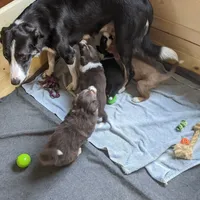 processed/fb8cb5a1-2f20-462b-95f3-114fcee6b093/facility/9667791f-4ecd-436c-a2d1-00e7f074f5c3