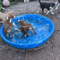 processed/fb8cb5a1-2f20-462b-95f3-114fcee6b093/facility/af992e2f-741f-430f-9e13-8fa410a0786a