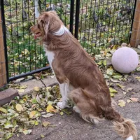 processed/fb8cb5a1-2f20-462b-95f3-114fcee6b093/facility/b8b30976-504f-4017-9299-b490a676358a