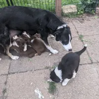 processed/fb8cb5a1-2f20-462b-95f3-114fcee6b093/facility/ce23a56b-e5fe-4c6f-b8d1-00015e6e7c95