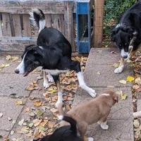 processed/fb8cb5a1-2f20-462b-95f3-114fcee6b093/facility/f7ad7f4c-e628-4c86-b009-f0a38844e922