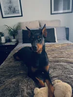 processed/fb8dd0df-c4d4-4650-aa64-f66a7281b6d4/listing/ca9009c7-9968-43db-b109-6d3421ac550d/3b1c5a04-1496-4bff-aff4-f3b12da17050