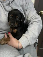 processed/fb8dd0df-c4d4-4650-aa64-f66a7281b6d4/listing/ca9009c7-9968-43db-b109-6d3421ac550d/716c5620-7e72-4db5-aaf9-4b65145552d1