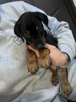 processed/fb8dd0df-c4d4-4650-aa64-f66a7281b6d4/listing/ca9009c7-9968-43db-b109-6d3421ac550d/7ed37f33-44fe-4deb-943d-f29f6b2529f4