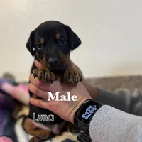 processed/fb8dd0df-c4d4-4650-aa64-f66a7281b6d4/listing/ca9009c7-9968-43db-b109-6d3421ac550d/b72aba8a-4336-45a0-a156-813d6b83fd1b