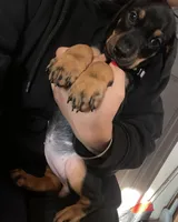 processed/fb8dd0df-c4d4-4650-aa64-f66a7281b6d4/listing/ce066258-e779-414f-8721-976027e76245/053150d7-179e-4a44-b0fb-c3c6bcb30eb3