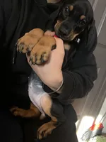 processed/fb8dd0df-c4d4-4650-aa64-f66a7281b6d4/listing/ce066258-e779-414f-8721-976027e76245/2150b9e9-5c48-48d8-95e2-50ba69510298