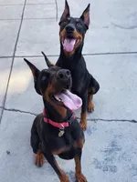 processed/fb8dd0df-c4d4-4650-aa64-f66a7281b6d4/listing/ce066258-e779-414f-8721-976027e76245/4632cd01-d585-4f29-824f-23f42572b4cf