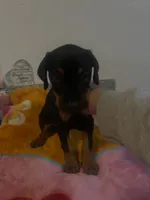 processed/fb8dd0df-c4d4-4650-aa64-f66a7281b6d4/listing/ce066258-e779-414f-8721-976027e76245/58c8c228-94cf-4d0b-8467-347e263ed9b1