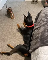 processed/fb8dd0df-c4d4-4650-aa64-f66a7281b6d4/listing/ce066258-e779-414f-8721-976027e76245/77fc53e8-c55a-4a87-859a-d7ea552a80be