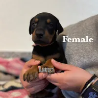 processed/fb8dd0df-c4d4-4650-aa64-f66a7281b6d4/listing/ce066258-e779-414f-8721-976027e76245/f6c0bed3-7c0e-4a6e-834e-9c34227ed474