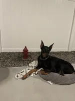 processed/fb8dd0df-c4d4-4650-aa64-f66a7281b6d4/listing/d80e792b-3373-4ff4-8cda-b46033b9a8b2/22330b34-c72c-4d4b-b3d1-3f560e5d5eaa