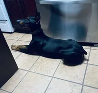 processed/fb8dd0df-c4d4-4650-aa64-f66a7281b6d4/listing/d80e792b-3373-4ff4-8cda-b46033b9a8b2/51674aed-26d6-493e-bab1-efad512d35a7