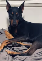 processed/fb8dd0df-c4d4-4650-aa64-f66a7281b6d4/listing/d80e792b-3373-4ff4-8cda-b46033b9a8b2/5ff8a6ce-2fb6-4950-8fae-c2cc08830cc8