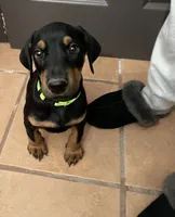 processed/fb8dd0df-c4d4-4650-aa64-f66a7281b6d4/listing/d80e792b-3373-4ff4-8cda-b46033b9a8b2/78df016c-aaa2-4279-88e2-21edc2fba833