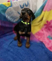 processed/fb8dd0df-c4d4-4650-aa64-f66a7281b6d4/listing/d80e792b-3373-4ff4-8cda-b46033b9a8b2/dc640c9d-bc84-40e4-8be1-2bb0a3ee462b