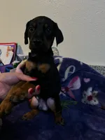 processed/fb8dd0df-c4d4-4650-aa64-f66a7281b6d4/listing/d97b3f3c-9cf3-4197-ac5a-568d4f8f99ff/04f77f21-1d65-4f73-bdd5-d735748686ab