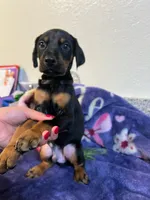 processed/fb8dd0df-c4d4-4650-aa64-f66a7281b6d4/listing/d97b3f3c-9cf3-4197-ac5a-568d4f8f99ff/281e39e6-a0c6-4d8d-8c1d-508dffec1bf7