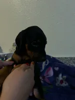 processed/fb8dd0df-c4d4-4650-aa64-f66a7281b6d4/listing/d97b3f3c-9cf3-4197-ac5a-568d4f8f99ff/3a880458-2ccc-4f72-900f-8bf5e263f9cd