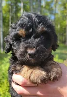 processed/fba5b9b3-2513-44a0-a61c-09e4aa67de80/facility/1e14e4df-dfe2-4153-97b0-4998a2badfb0