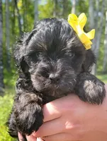 processed/fba5b9b3-2513-44a0-a61c-09e4aa67de80/facility/4cf3f205-778d-47bf-86ed-a6c3a1be0bd7