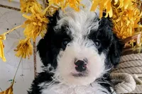 processed/fba5b9b3-2513-44a0-a61c-09e4aa67de80/facility/4f1dacef-1778-4f62-928f-5b7bddf69ad5