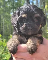 processed/fba5b9b3-2513-44a0-a61c-09e4aa67de80/facility/58205c54-3e62-4491-9de5-78e0a7935b5c