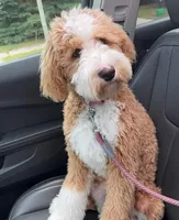 processed/fba5b9b3-2513-44a0-a61c-09e4aa67de80/facility/7288fcdf-c1a0-4401-aa90-2b646e730c14