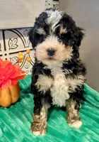 processed/fba5b9b3-2513-44a0-a61c-09e4aa67de80/facility/9629aaf8-9372-4c50-ad61-f00921b5fb00