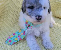 processed/fba5b9b3-2513-44a0-a61c-09e4aa67de80/facility/9d932d37-d76f-4fc5-99b4-cf6e2e024aa1