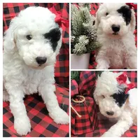 processed/fba5b9b3-2513-44a0-a61c-09e4aa67de80/facility/aad19463-69c1-4820-a78d-5a792863c667