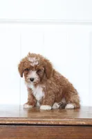 processed/fbaf6101-8077-4192-9a78-ef919eade74c/listing/c540b00f-9363-479d-9b75-e3a1b5d8793a/7a568d2b-3863-4eef-8e9c-c90021357282