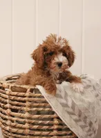 processed/fbaf6101-8077-4192-9a78-ef919eade74c/listing/c540b00f-9363-479d-9b75-e3a1b5d8793a/830e4e44-7a96-4234-86c2-adc79ca85d92